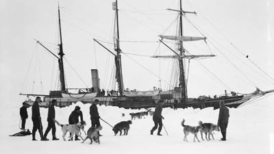 Dogs and men on ice, with Endurance behind, taken during Imperial Trans-Antarctic Expedition 1914-1916