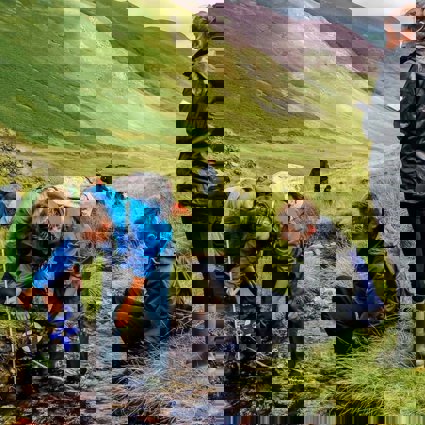 A group of students standing in a shallow upland stream, using a measuring tape to measure the width of the stream. In the background are green valley sides.