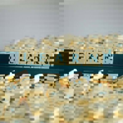 Scrabble tiles on a stand spelling out the word 'learn'