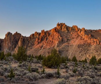 An arid landscape with tall, jagged rock formations. There are low shrubs and trees surrounding the foot of the formation.