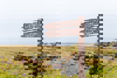 Brown wooden signpost