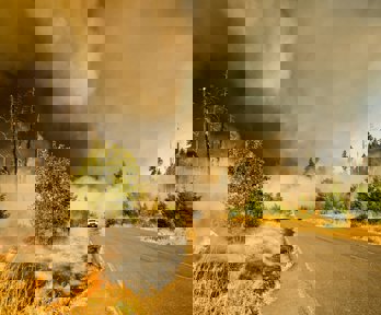 car driving away from a forest fire