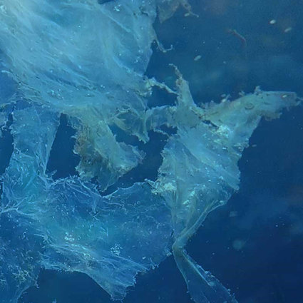 Plastic rubbish floating in the sea