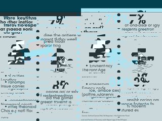 Infographic